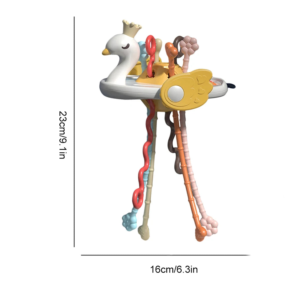 multi sensory teether & toy