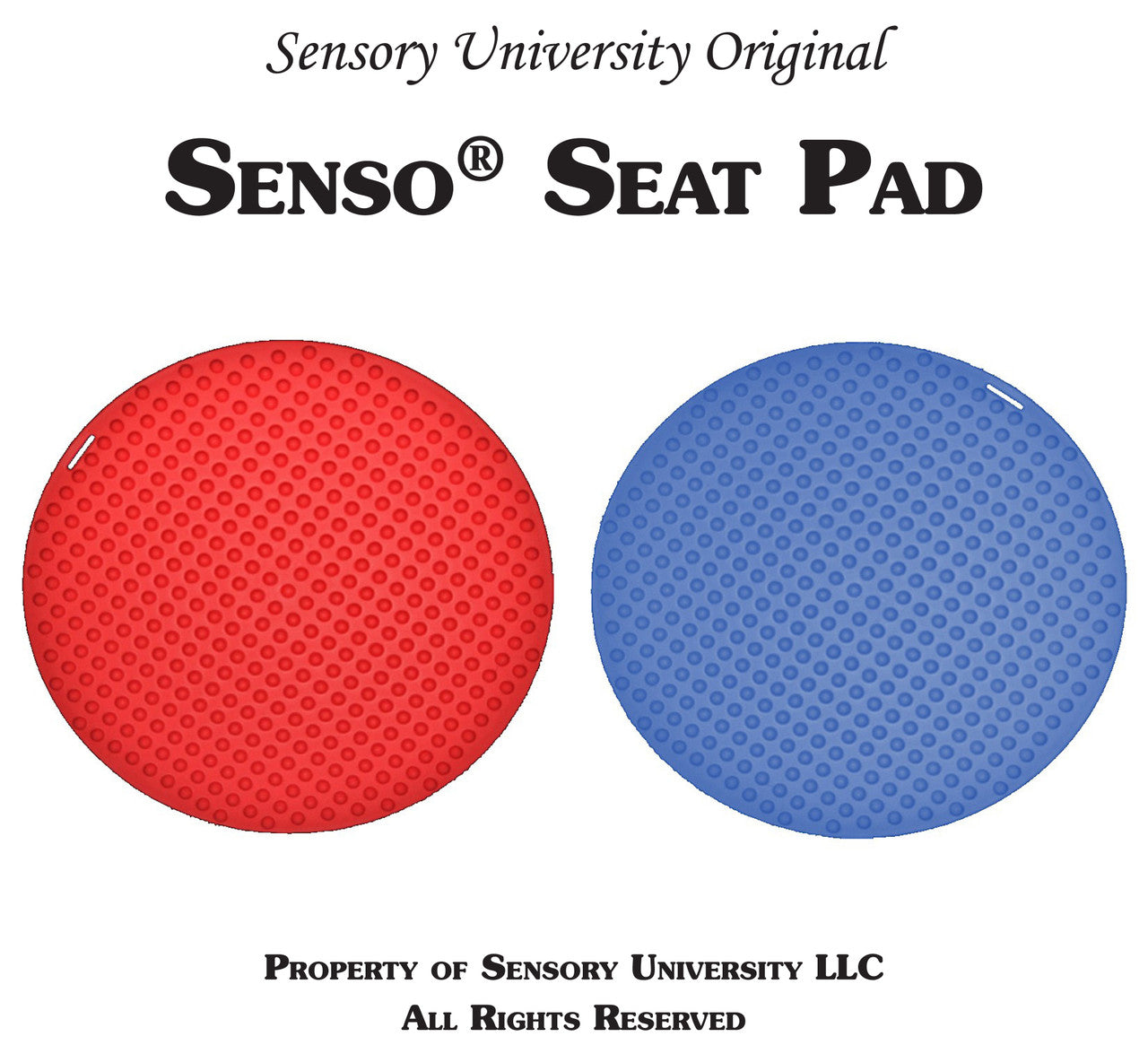 sensory seat pad